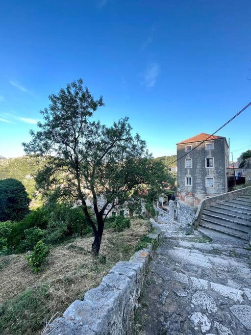 Apartment Ana Lastovo