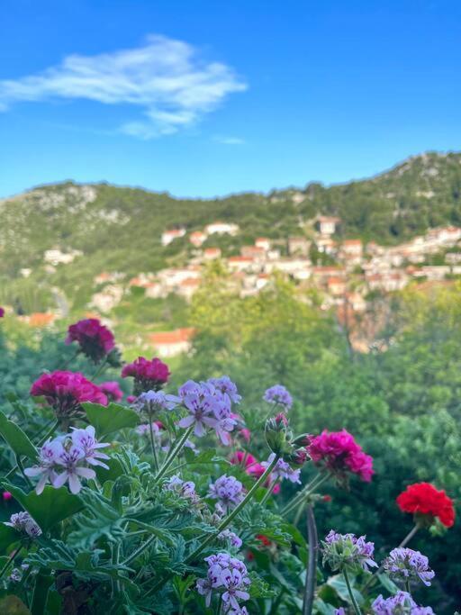 Apartment Ana Lastovo